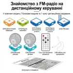 Графічна схема комплектації електронної збірної конструкції, що включає модуль FM-радіо, динаміки, пульт дистанційного керування, блоки живлення та регулювання гучності
