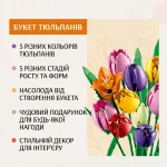 Інфографіка характеристик та переваг інтер'єрного конструктора Букет тюльпанів: 5 кольорів, різні стадії розкриття бутонів, флористичний декор та подарунковий формат