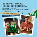 Процес складання горщика та квітів інтер'єрного конструктора Спатифілум як захопливе та медитативне хобі для дорослих